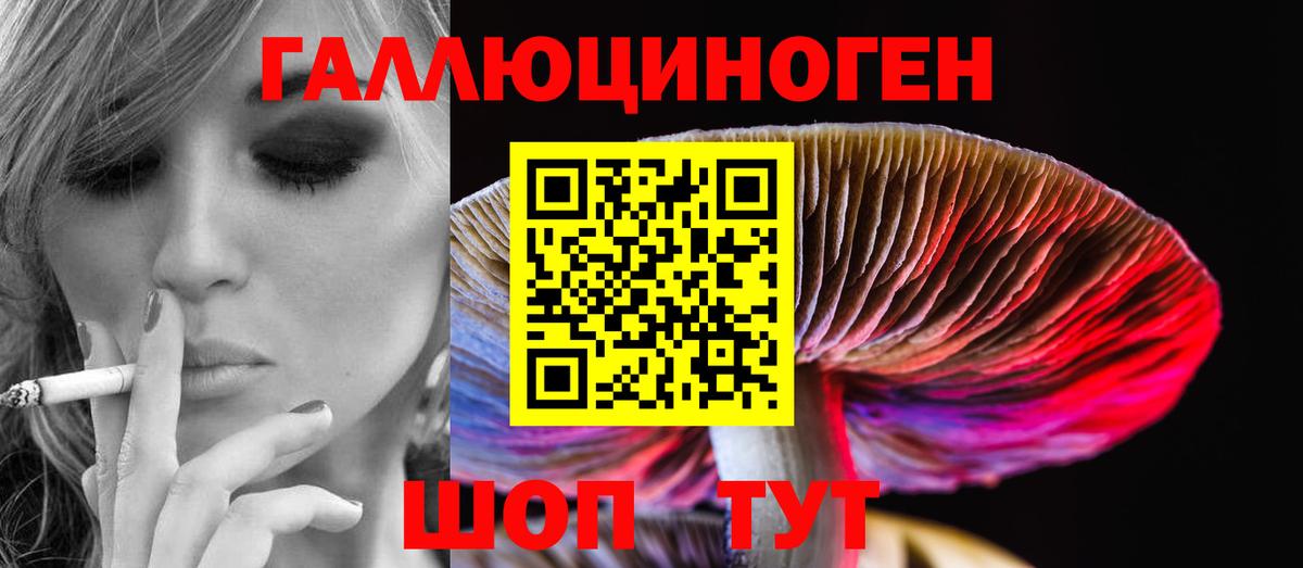 Галлюциногенные грибы ЛСД  Вход с VPN  Большой Камень 