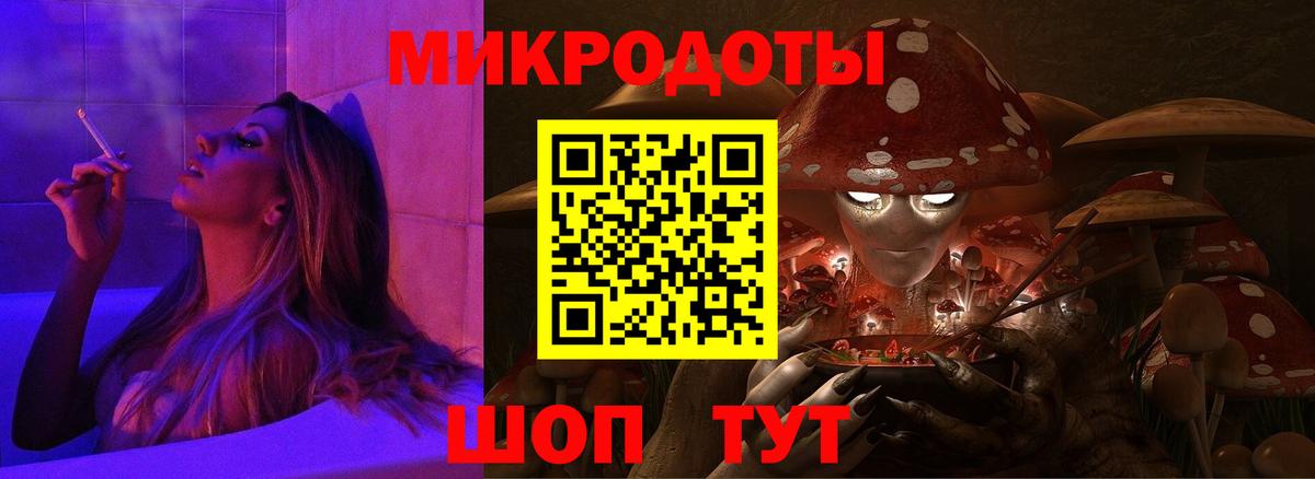 Галлюциногенные грибы Psilocybine cubensis Большой Камень